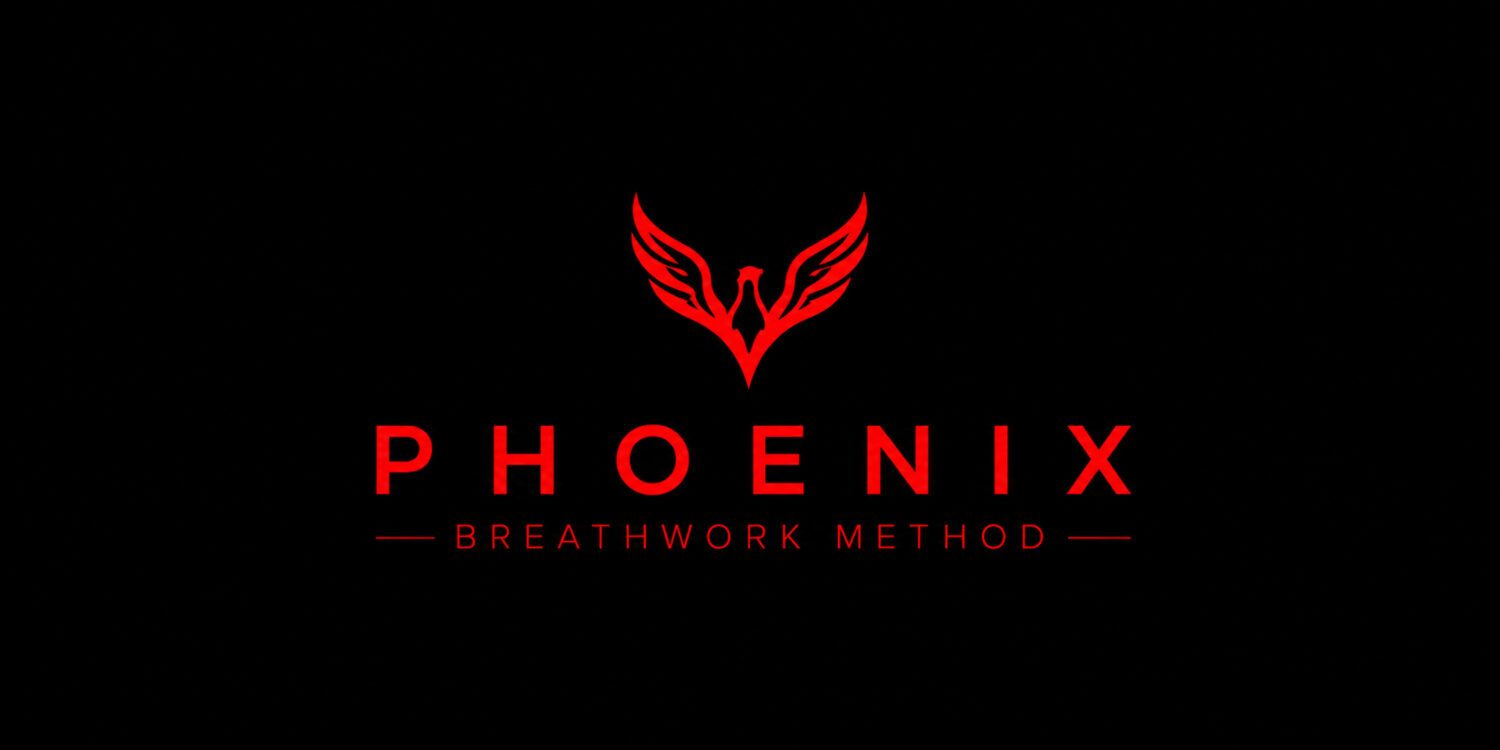 Phoenix Fire Night